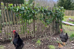 Tiny House Loire-Atlantique