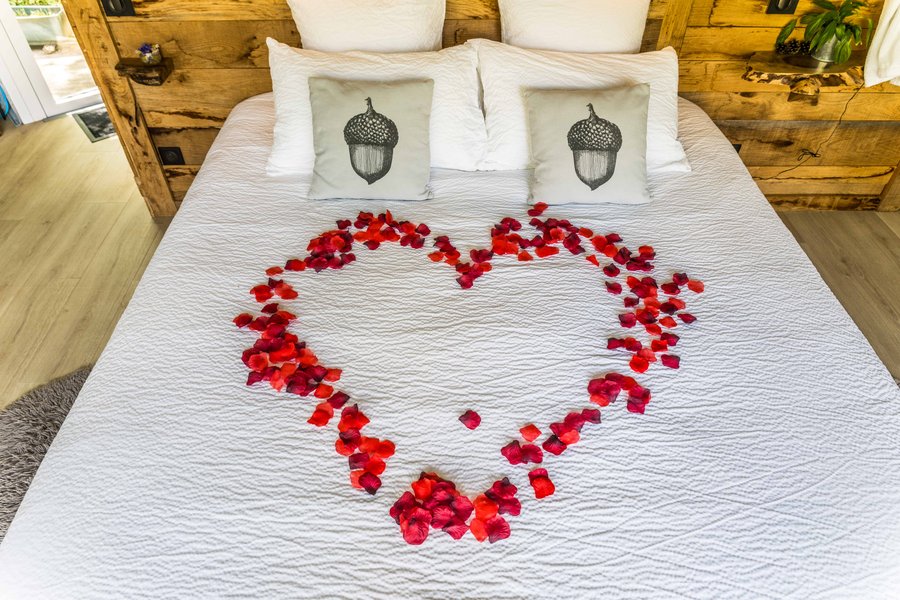 Hébergement AbracadaRoom : La Grande ourse & Spa - Image 19