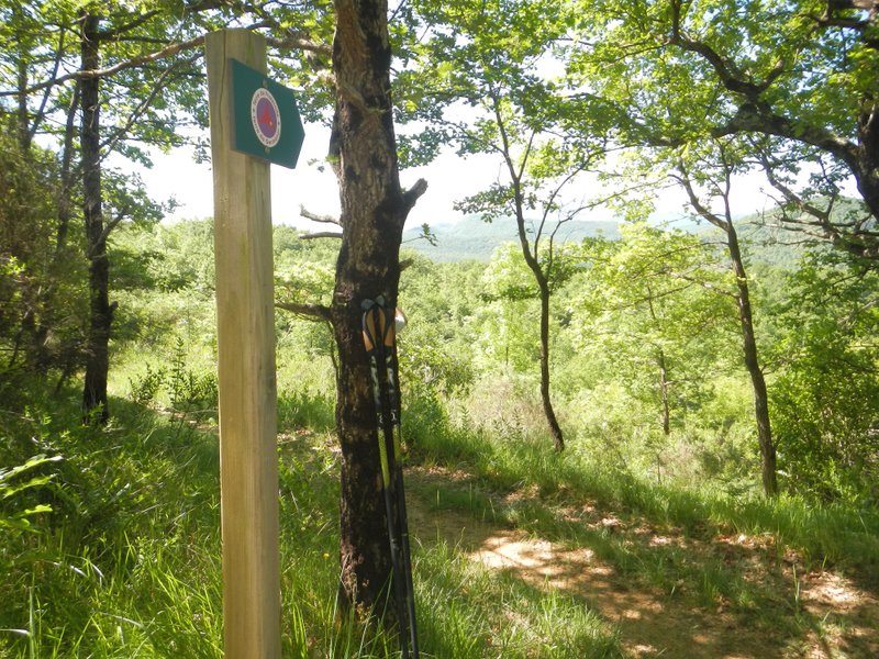 Domaine AbracadaRoom : D'Âme Saveurs - Camping des Vignes - Image 2