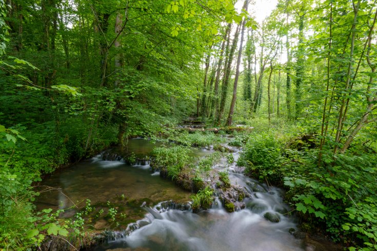 Domaine AbracadaRoom : Domaine du Moulin de Trimeule - Image 4