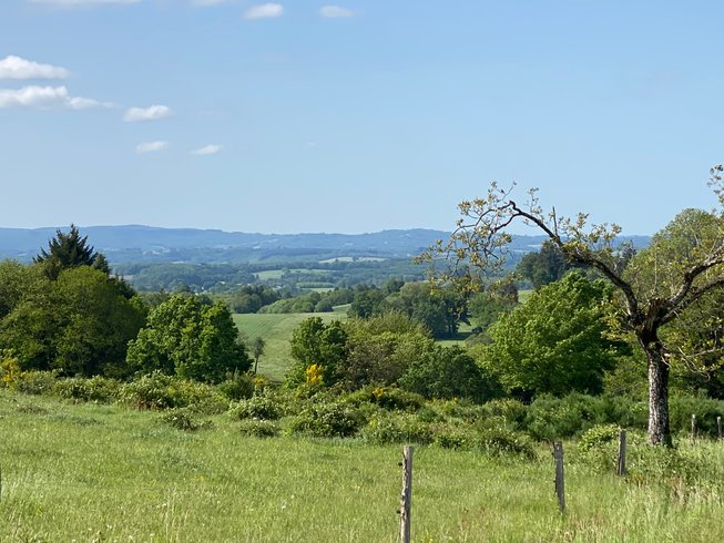 Domaine AbracadaRoom : Les terres de la chouette - Image 16