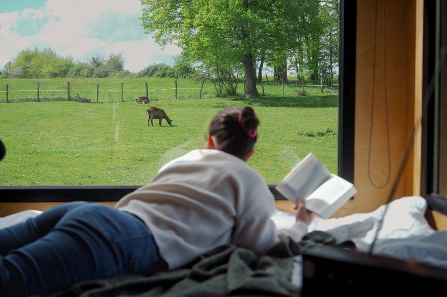 Hébergement AbracadaRoom : Parcel Tiny House - près des animaux dans le Jura - Image 4