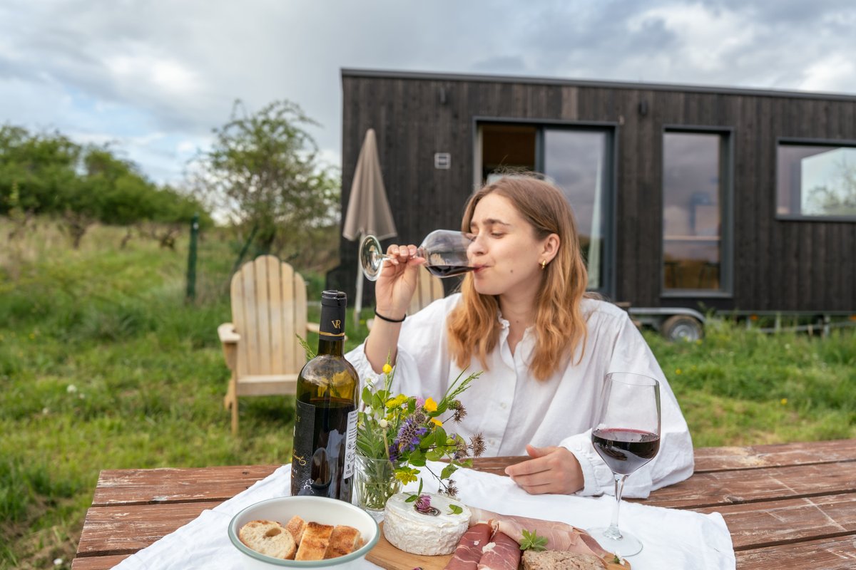 Parcel Tiny House - montagnes et vignes dans l'AOC du Bugey à Revonnas (40)