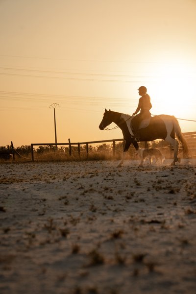 Domaine AbracadaRoom : Homnest (Espinasse) - Image 9