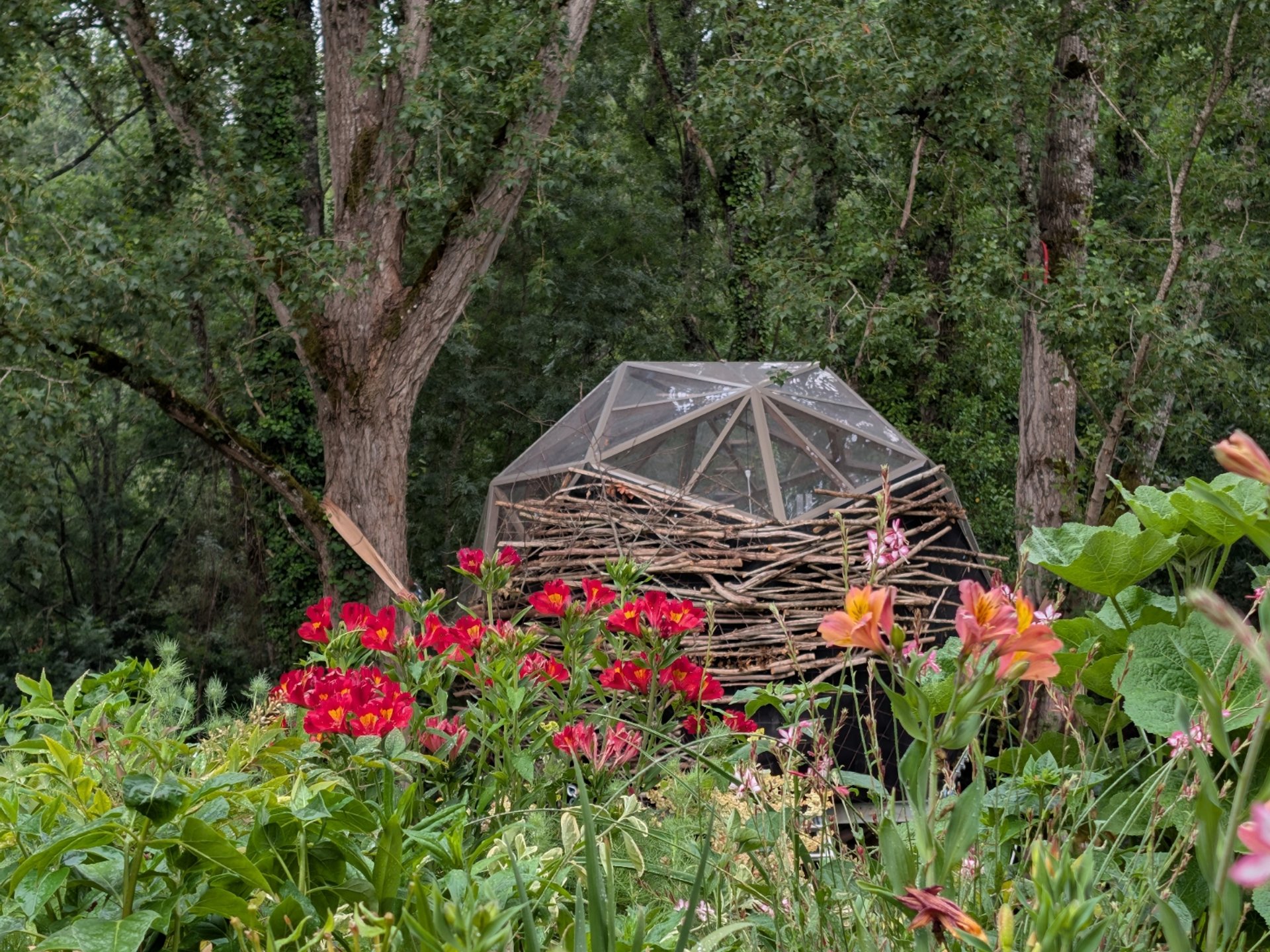 Bird House : Sphère Vitrée suspendue dans les Arbres