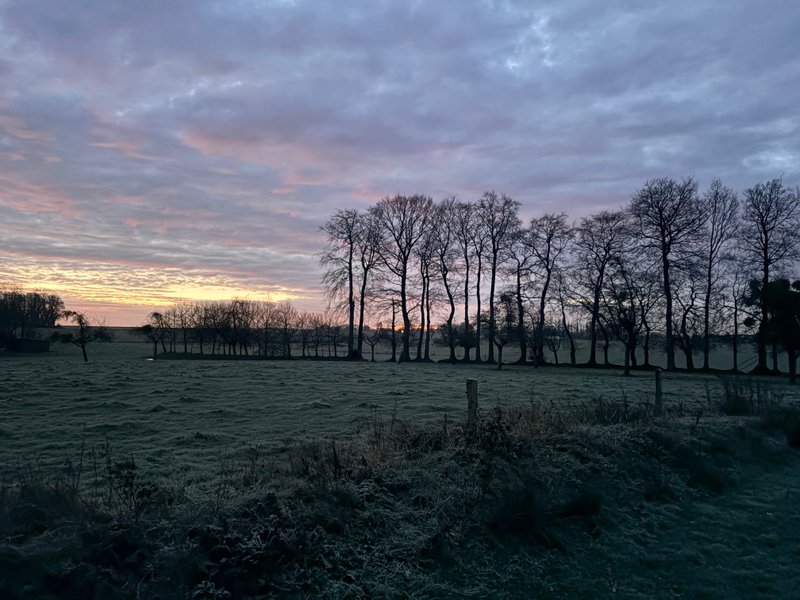 Domaine AbracadaRoom : Le Vert d'Orezza - Image 10