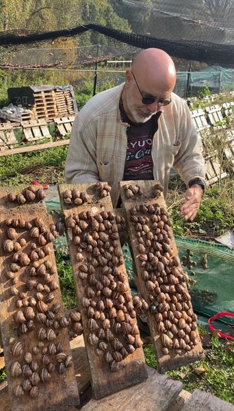 Hébergement AbracadaRoom : L’Escargoterie de la Forge - Immersion Champêtre - Image 27