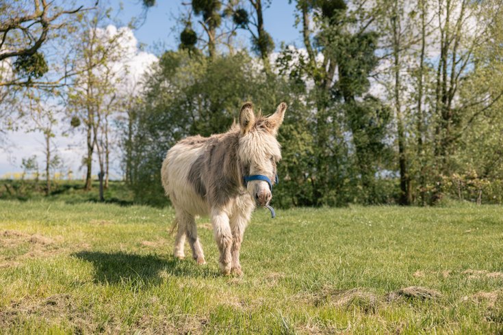 Domaine AbracadaRoom : Les ecogites de la sabliere - Image 7