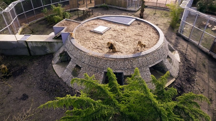 Domaine AbracadaRoom : Zoo de Bordeaux Pessac - Night expérience - Image 16