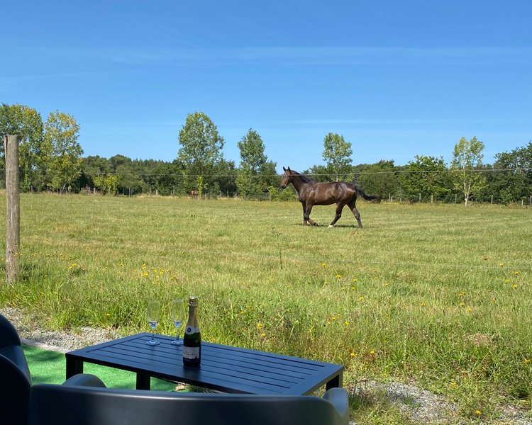 Hébergement AbracadaRoom : Les Bulles de la Belle étoile & Spa - Image 9