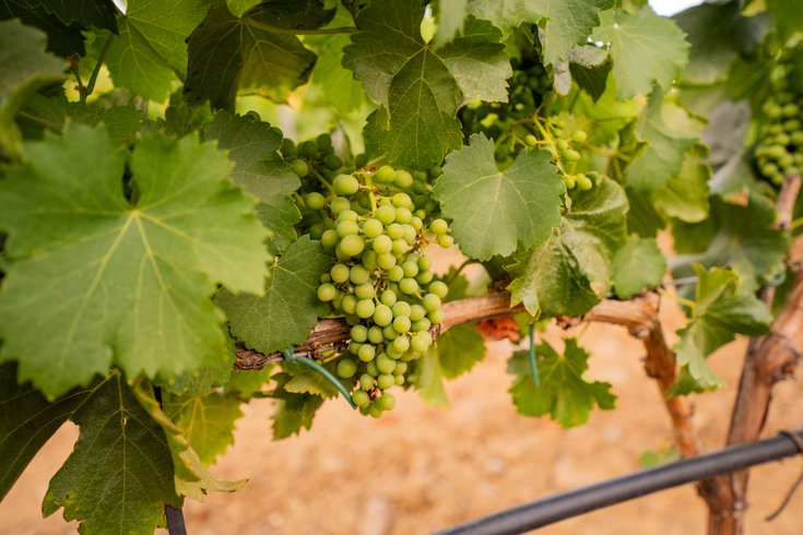 Domaine AbracadaRoom : Homnest (La Londe) - Image 13