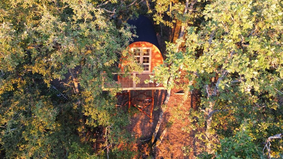 Domaine AbracadaRoom : La cabane entre les cimes - Image 4