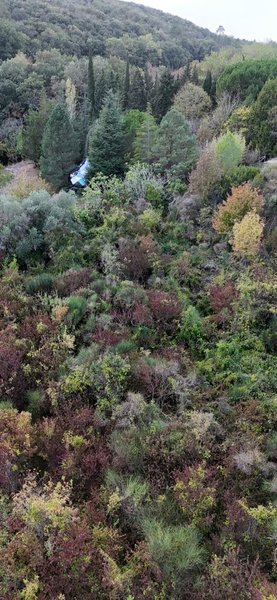 Hébergement AbracadaRoom : Zome haut-de-gamme & Spa - Image 52