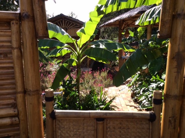 Hébergement AbracadaRoom : Insolite Coco Banane, Spa privatisable - Image 13