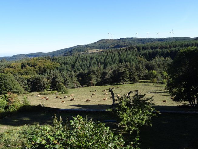 Hébergement AbracadaRoom : La Cabane des Fayards - Image 6