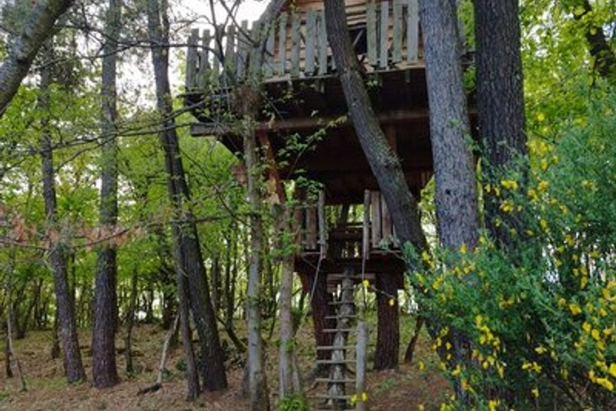 Cabane Nid d’Oiseaux - Un cocon perché qui danse avec le vent — photo 2