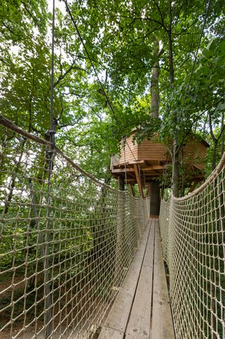 Hébergement AbracadaRoom : Monkey Tree - Image 2