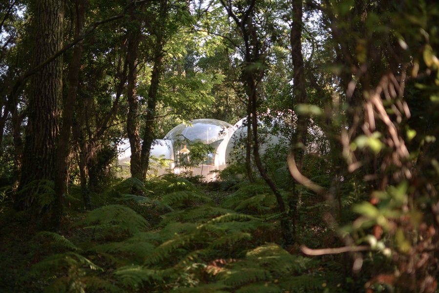 Domaine AbracadaRoom : Lo Rey du Lac - Image 4