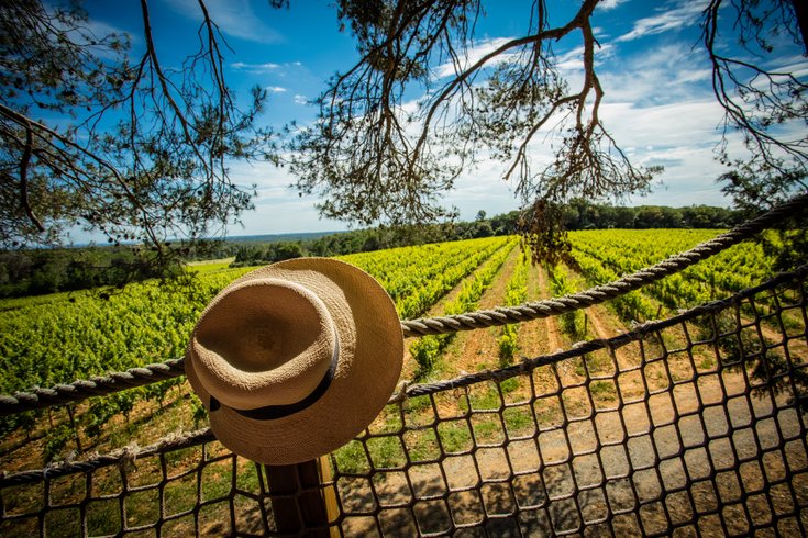 Hébergement AbracadaRoom : Rollier - Image 23