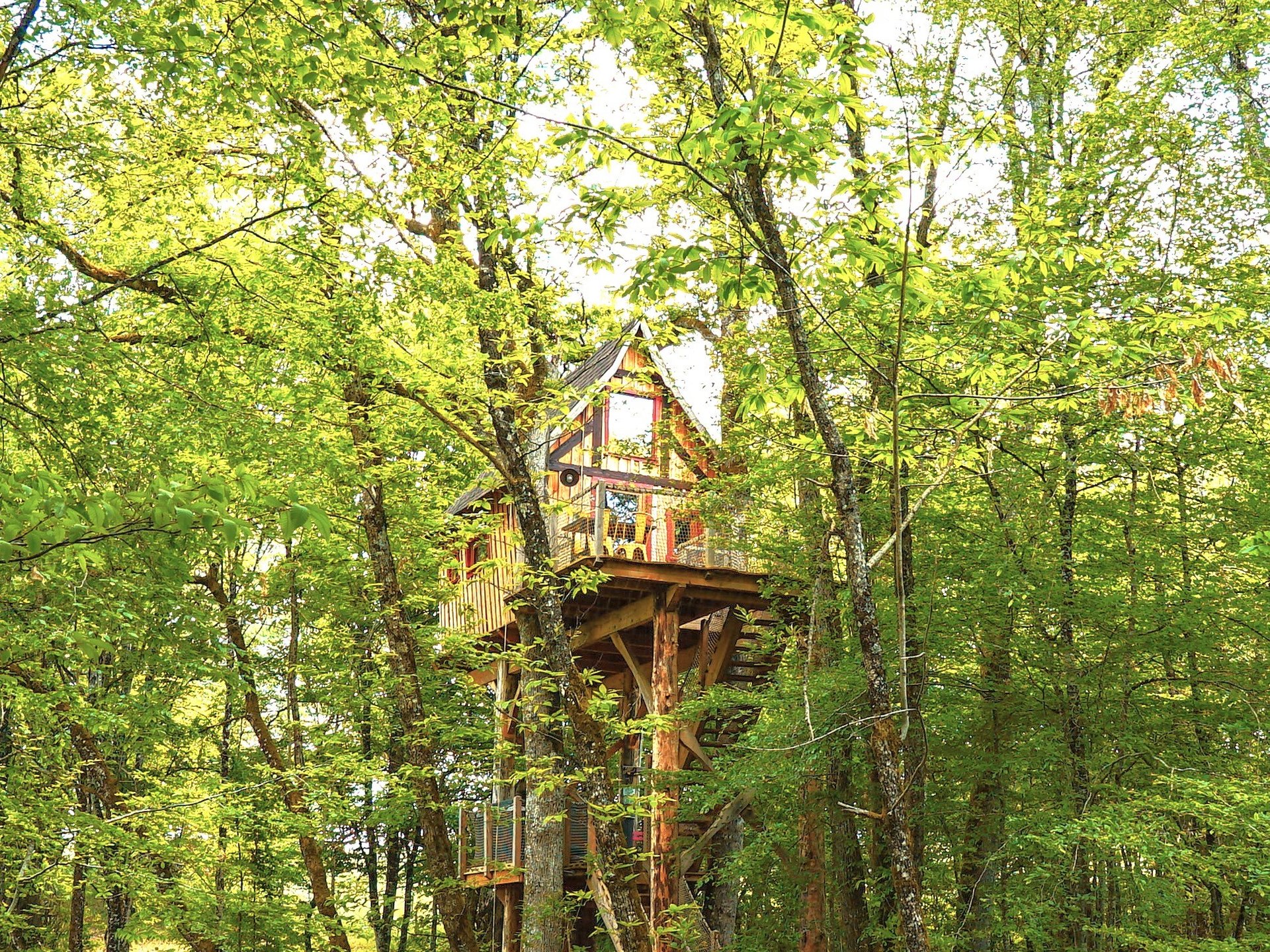 Cabane avec Spa "Cartoon"