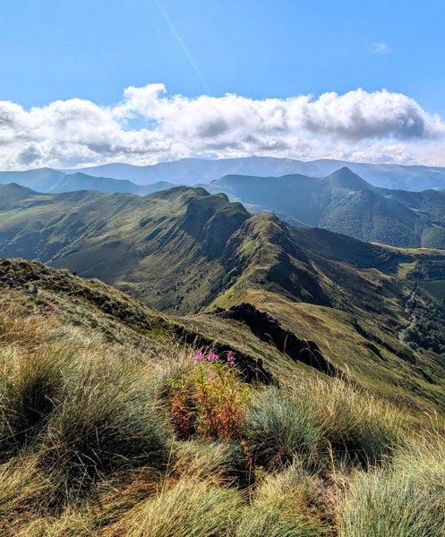 Domaine AbracadaRoom : La roulotte du p'tit Buron - Image 17
