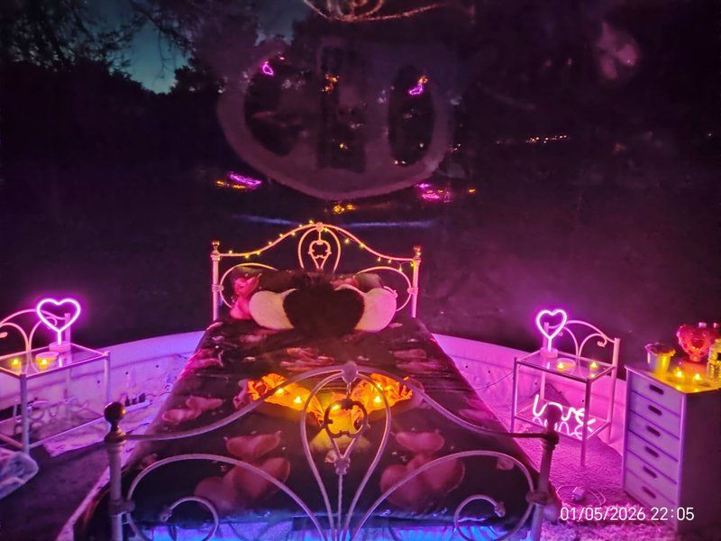 Hébergement AbracadaRoom : La bulle des 2 arbres de la sagesse - Image 31