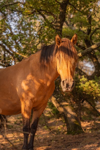 Domaine AbracadaRoom : Homnest (Puy Saint Martin) - Image 33
