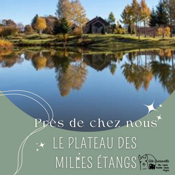 Domaine AbracadaRoom : Gîte Familial Scaravella - Image 33