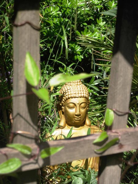 Hébergement AbracadaRoom : Tiny Garden – Parenthèse nature et sérénité - Image 10