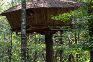 Cabane Hibou