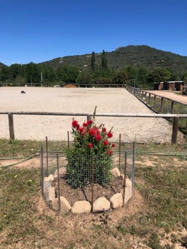 Hébergement AbracadaRoom : Les chalets de Tesa 1 - Image 15