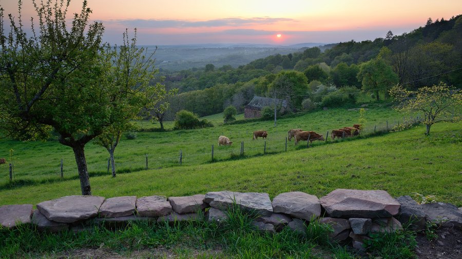 Domaine AbracadaRoom : La Maison des étoiles - Image 1