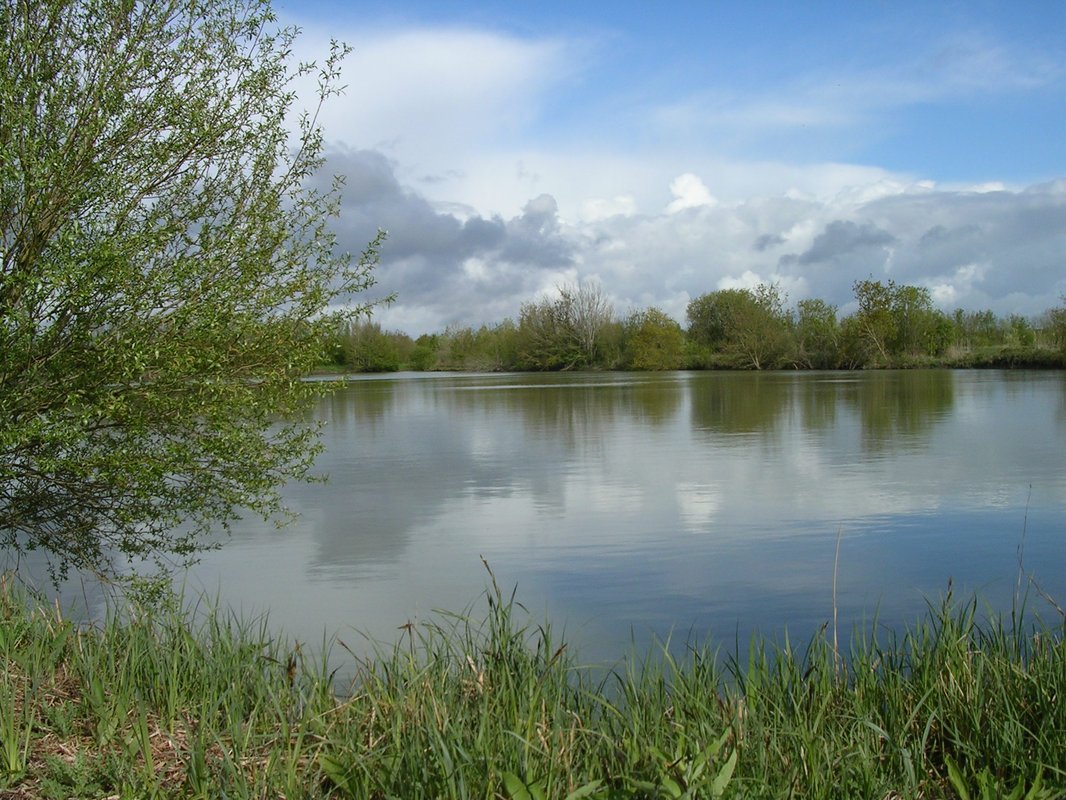 LA MAISON FLOTTANTE - 6 personnes à Le Langon (13)