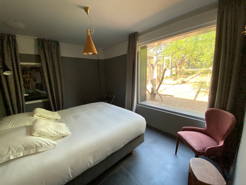 Hébergement AbracadaRoom : Lodge Jaguars & Spa & Dîner - Accès au zoo - Image 7