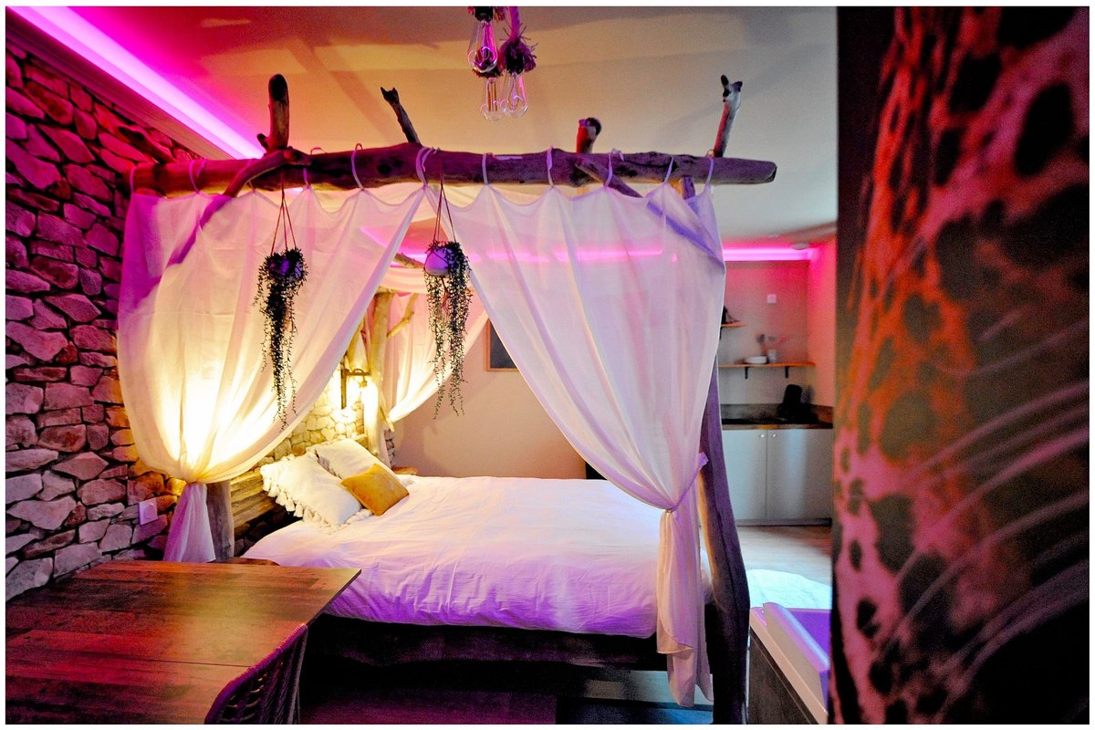 Évasion safari unique, SPA XXL, CASCADE D'EAU, CINÉMA PRIVÉ, 5 min du centre à Bourgoin Jallieu (12)