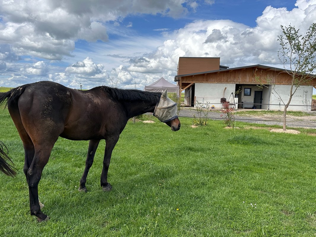 La Stabu des prés Hauts & Spa à Preaux (19)