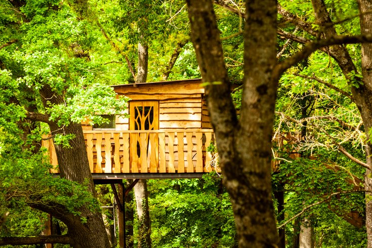 Hébergement AbracadaRoom : CABANE PERCHÉE CHEZ YAHMZ - Image 1