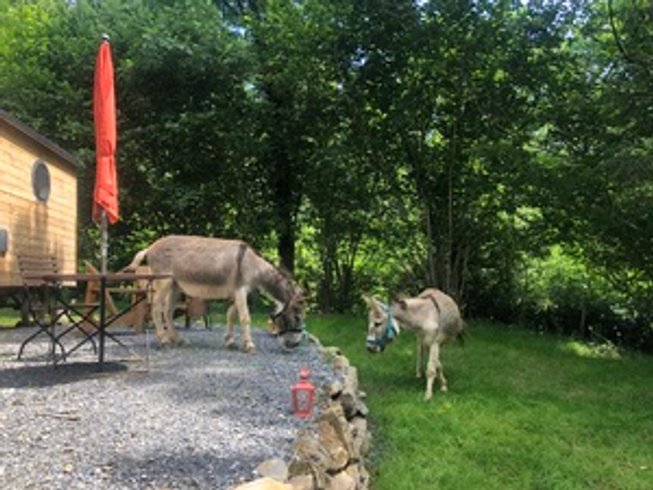 Hébergement AbracadaRoom : Terra Bosca - La roulotte - Image 18