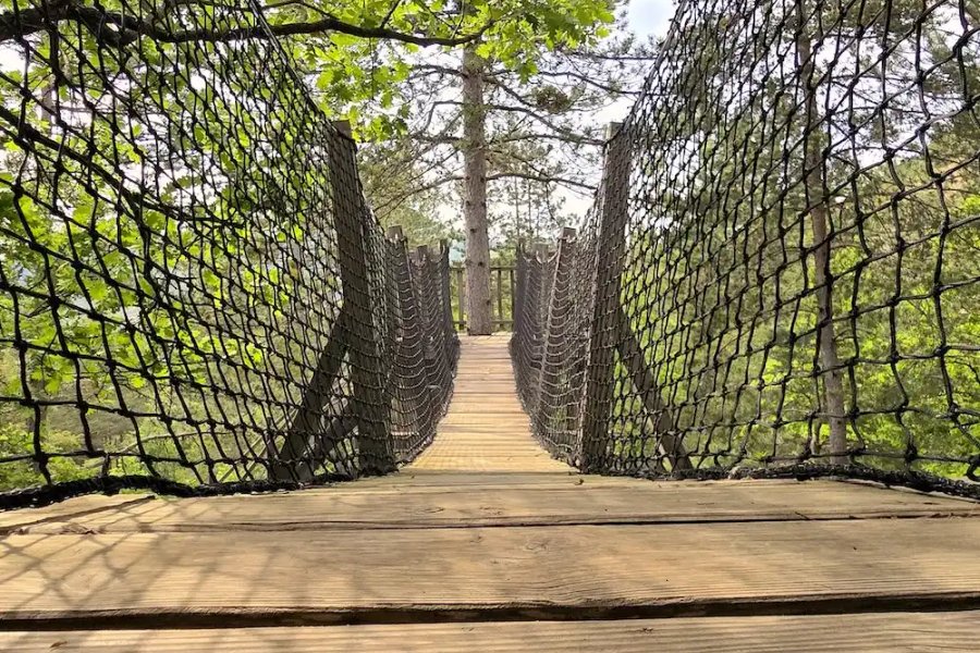 Épine Vinette & Spa — photo 2