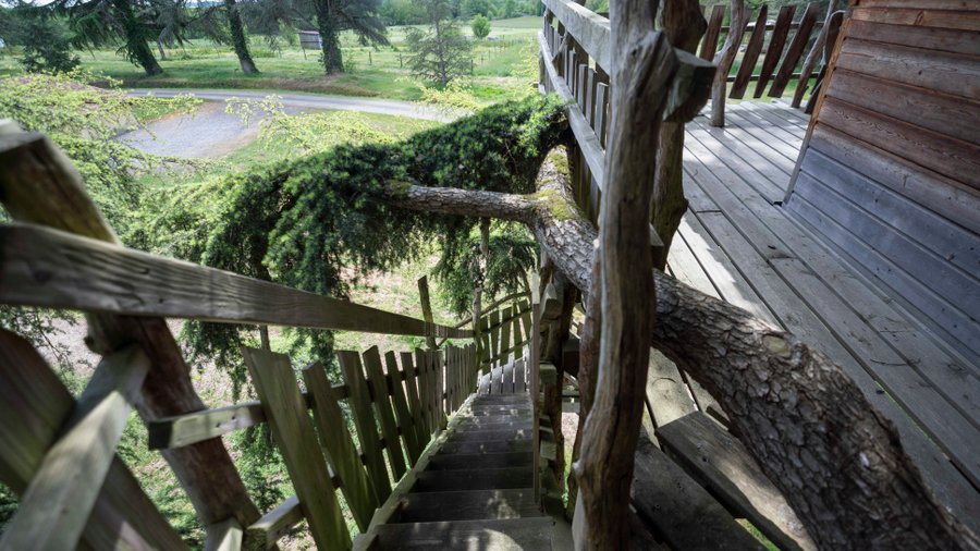 Hébergement AbracadaRoom : Cabane au Cédre du Bonheur - Image 17