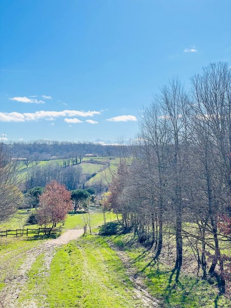 Hébergement AbracadaRoom : La Cabane Feu de Forêt & spa privatif - Image 5