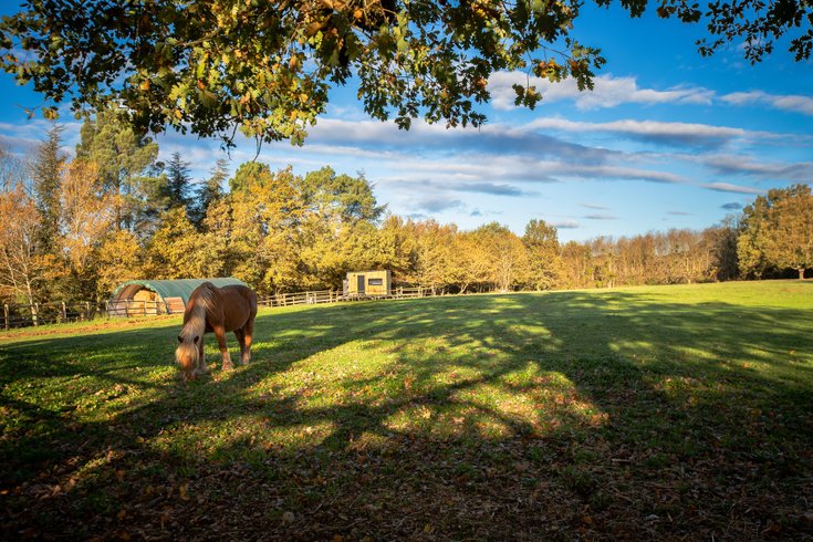 Domaine AbracadaRoom : Homnest (Puybegon) - Image 1