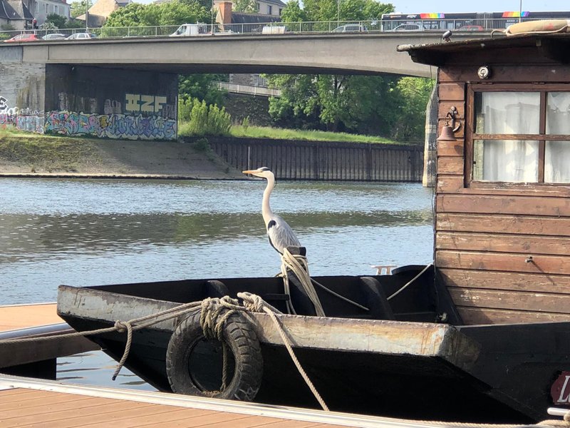 Domaine AbracadaRoom : La Toue Charme - Image 2