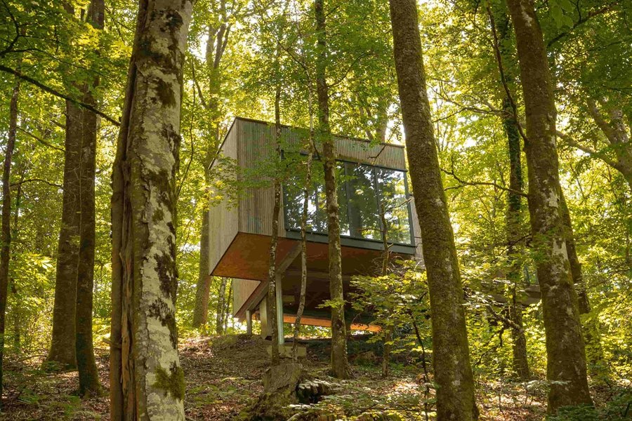 Cabane Hêtre - Corrèze