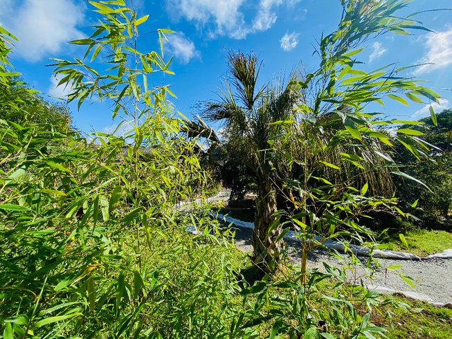 Domaine AbracadaRoom : Jardin Zen du Quistillic - Image 22