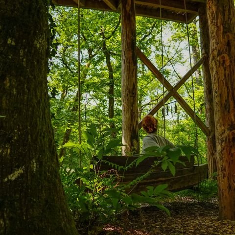 Domaine AbracadaRoom : Nid'en'Ô Les Cabanes dans les Arbres - Image 20