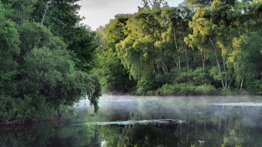 Hébergement AbracadaRoom : Maison flottante Aquapesca - Image 10