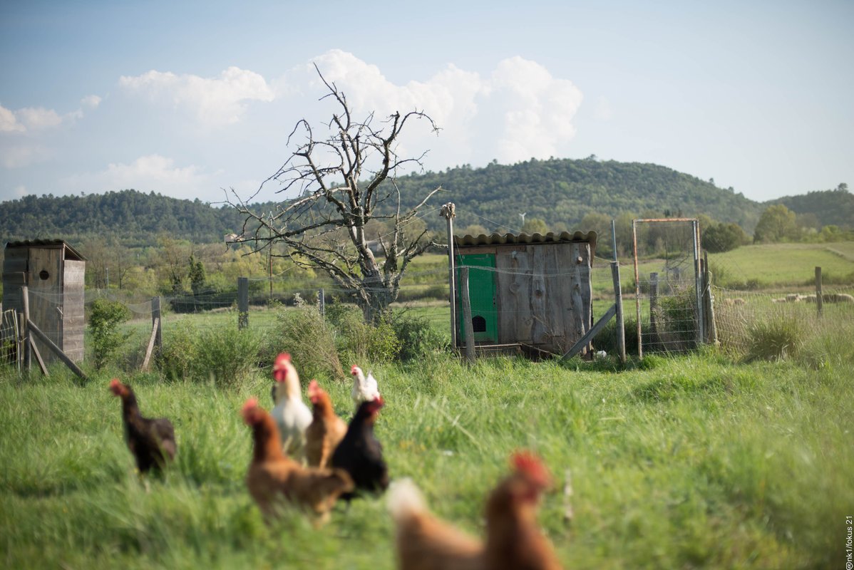 Yourte à la ferme des bréguières à Esparron De Pallieres (16)