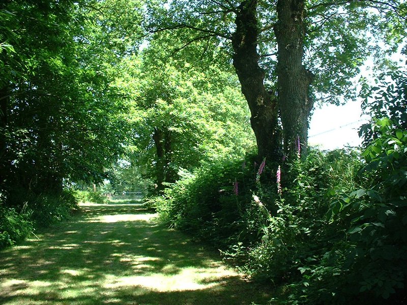 Domaine AbracadaRoom : Manoir de l'Alleu - Image 10