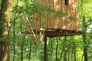 La Cabane des Troglodytes